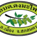 ประกาศ เรื่อง หลักเกณฑ์เเละวิธีการประเมินผลการปฏิบัติงานของ พนักงานจ้างตามภารกิจ เเละพนักงานจ้างทั่วไป สังกัดองค์การบริหารส่วนตำบลดงมะไฟ ประจำปีงบประมาณ พ.ศ. 2570